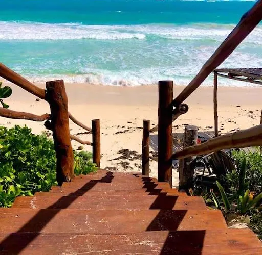 Near Beach+jungle Views. King Bed+220 Megs+2 Bikes Apartment *