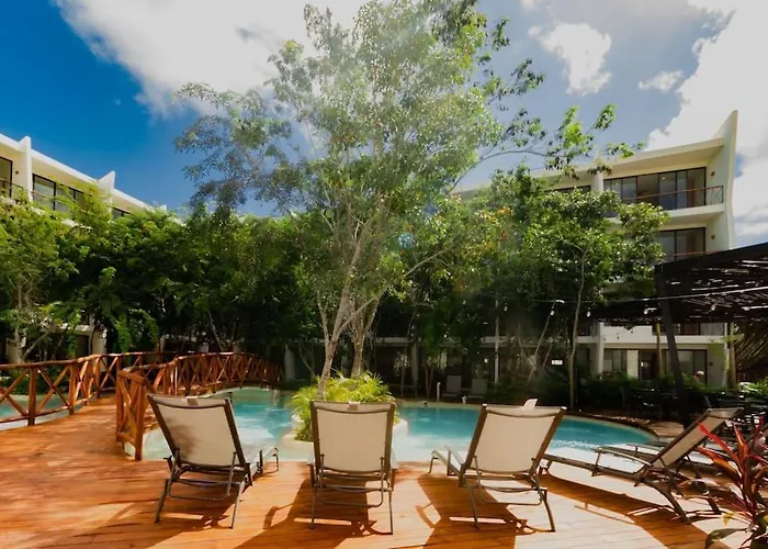 Apartment Near Beach+jungle Views. King Bed+220 Megs+2 Bikes *
