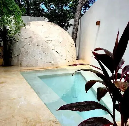 Apartment Near Beach+jungle Views. King Bed+220 Megs+2 Bikes *