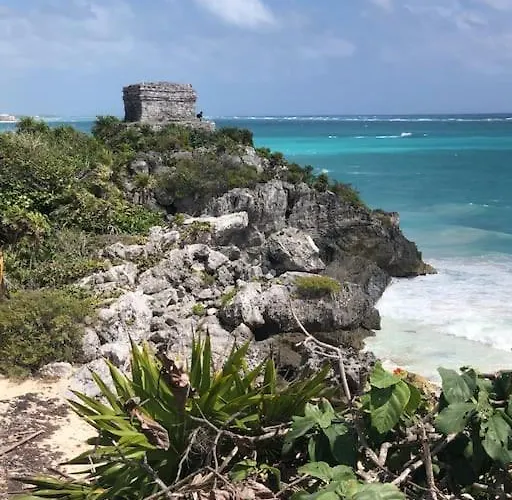 Near Beach+jungle Views. King Bed+220 Megs+2 Bikes Tulum