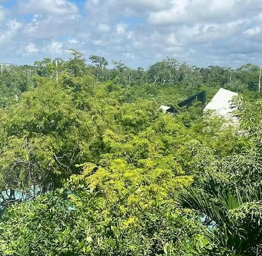 Apartment Near Beach+jungle Views. King Bed+220 Megs+2 Bikes *