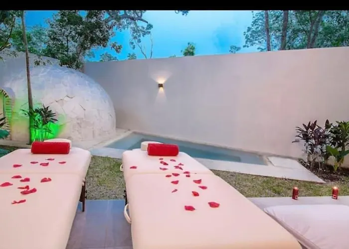 Near Beach+jungle Views. King Bed+220 Megs+2 Bikes Apartment